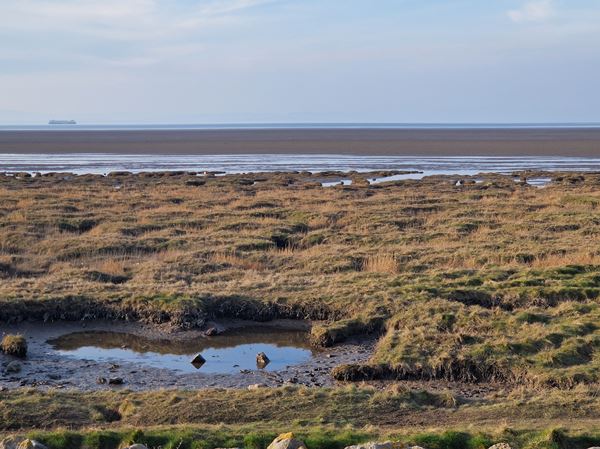 Photo of a stretch of salt marsh with muddy pools between tufts of green and brown grass. In the background the mudflats and sea stretch out into the distance. There's a boat on the horizon to the far left.. 